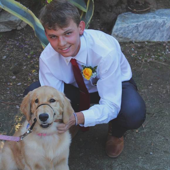 Meet your Posher, Luke - Picture 1 of 1